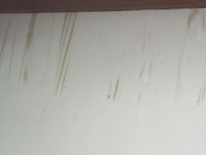 240808_img001