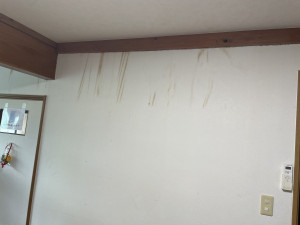 240808_img002